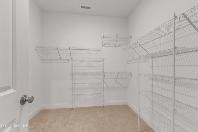 walk in closet featuring light carpet