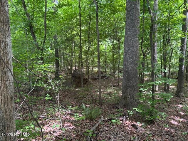 425 Biddle Rd, Dover, NC 28526