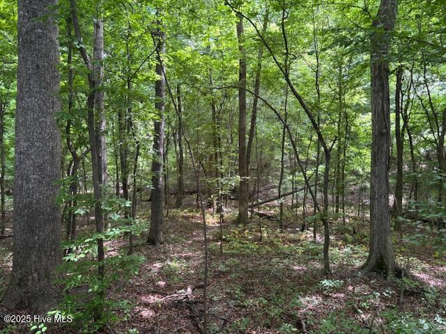 425 Biddle Rd, Dover, NC 28526