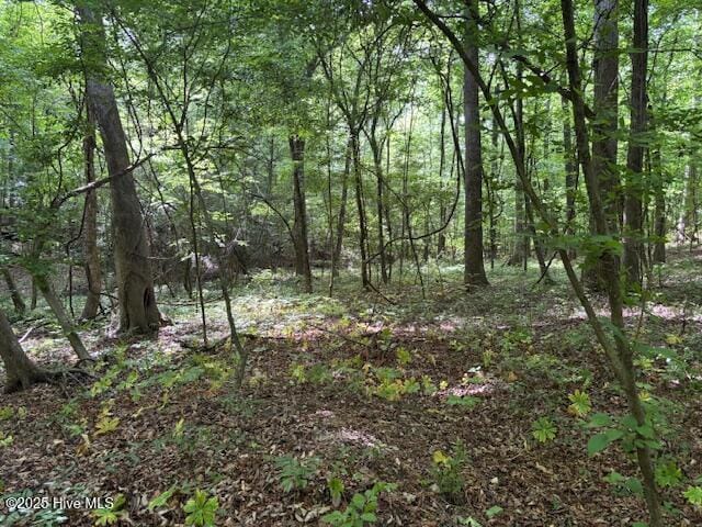 425 Biddle Rd, Dover, NC 28526