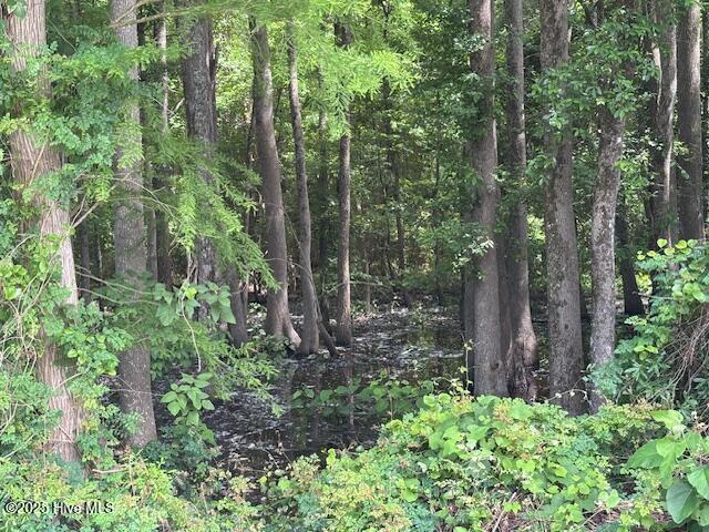 425 Biddle Rd, Dover, NC 28526
