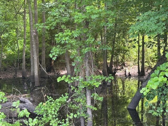 425 Biddle Rd, Dover, NC 28526