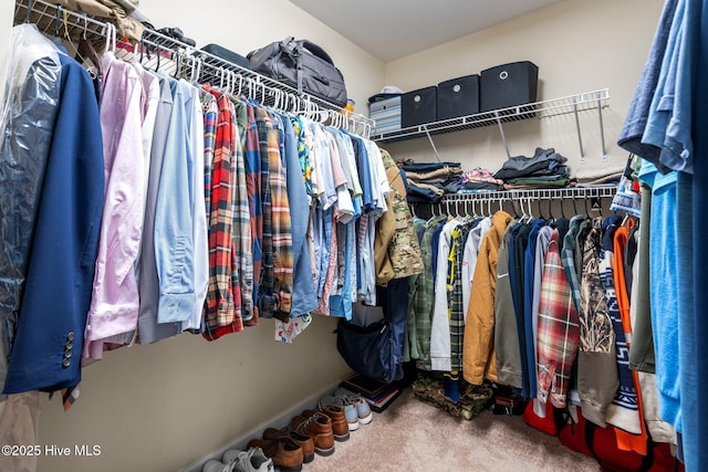 140 Timberwood Dr, Cameron, NC 28326 - walk in closet featuring carpet floors