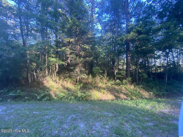 5 Deer Run Rd Unit 4, Carolina Shores, NC 28467