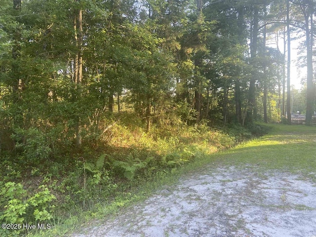 5 Deer Run Rd Unit 4, Carolina Shores, NC 28467