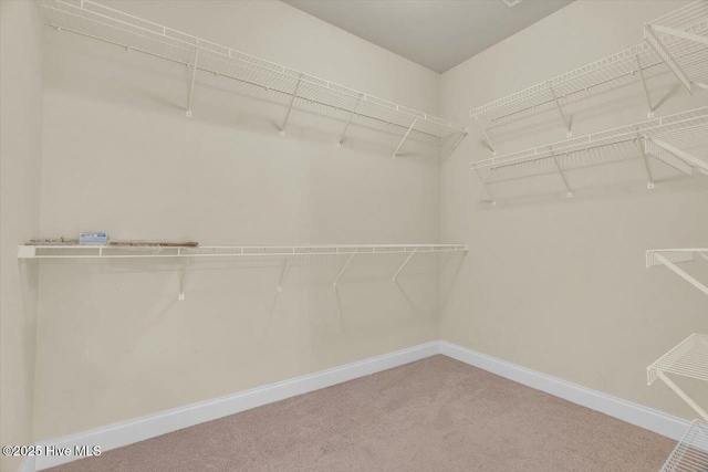 132 Turquoise Dr, Jacksonville, NC 28546 - walk in closet with carpet flooring