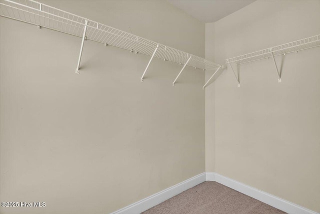 132 Turquoise Dr, Jacksonville, NC 28546 - spacious closet featuring carpet
