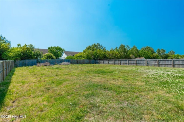 132 Turquoise Dr, Jacksonville, NC 28546 - view of yard