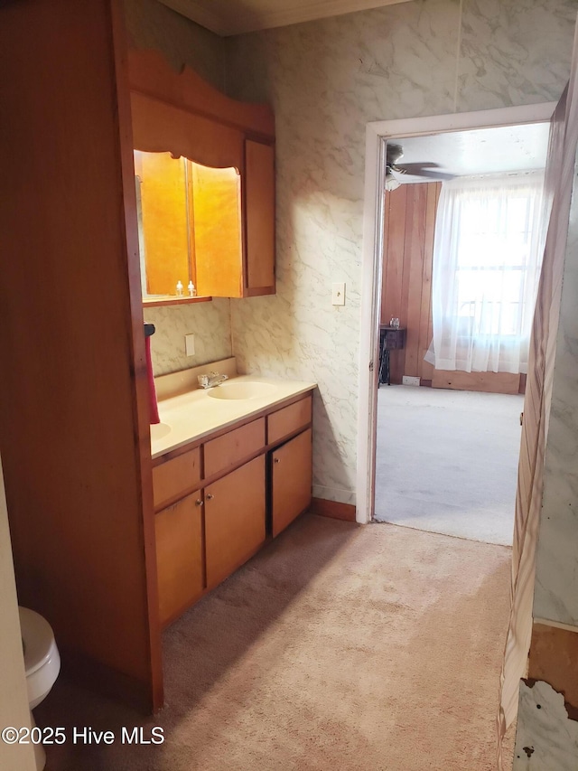 809 Conway Rd, Fair Bluff, NC 28439 - bathroom with vanity and toilet