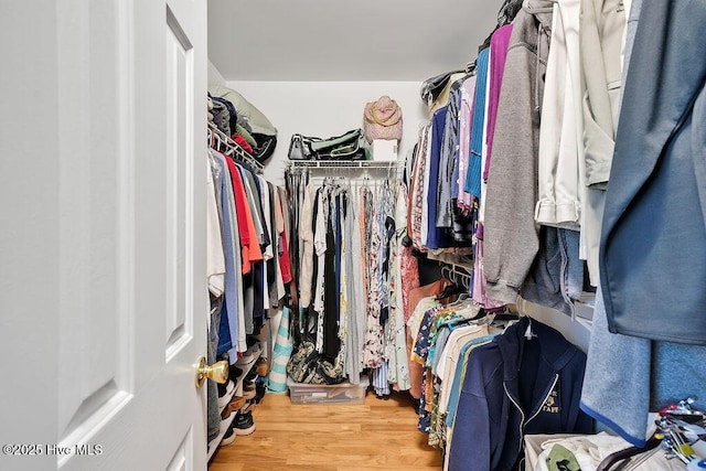 walk in closet with wood finished floors