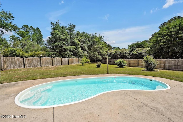 view of swimming pool with a patio area and view of wooded area