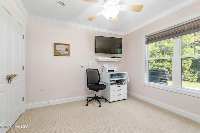 office with carpet flooring, ornamental molding, baseboards, and a ceiling fan