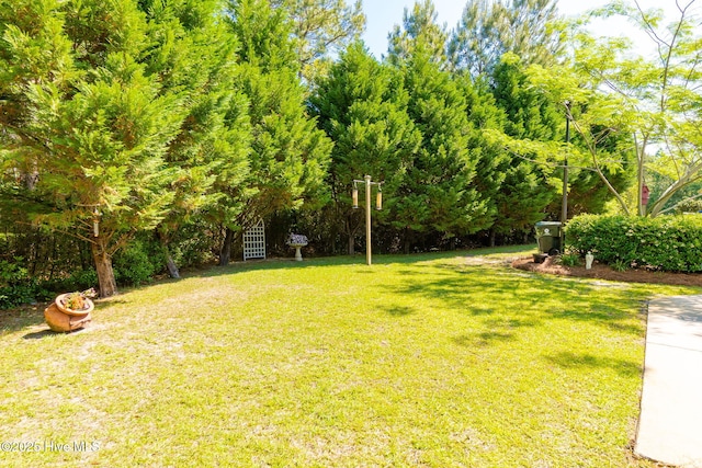 view of grassy yard