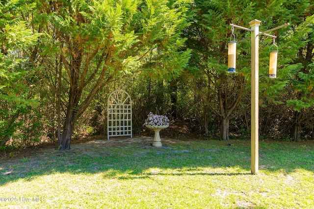 view of grassy yard