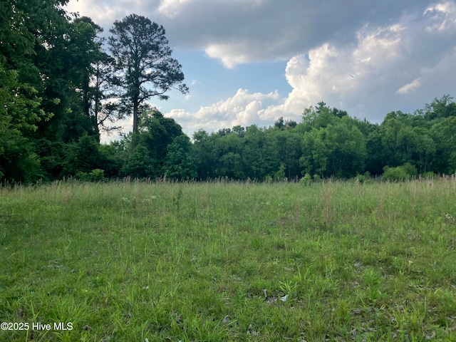 1.167AC Raleigh Rd, Wallace, NC 28466