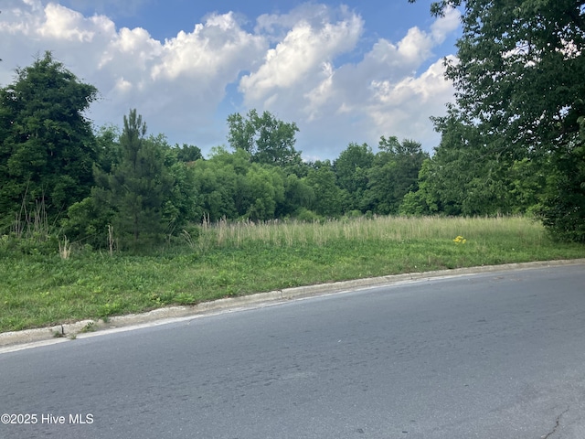 1.167AC Raleigh Rd, Wallace, NC 28466