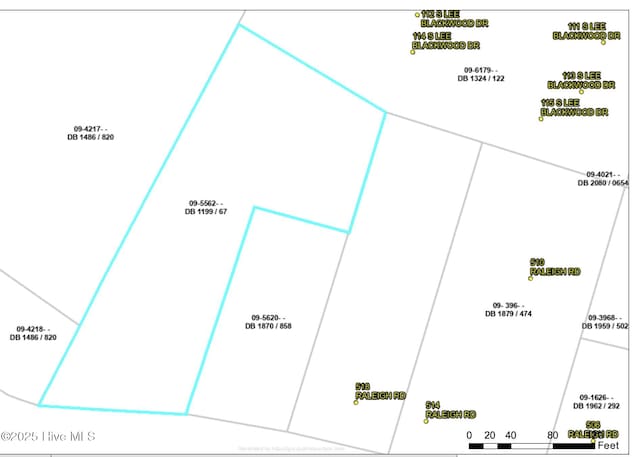 1.167AC Raleigh Rd, Wallace, NC 28466