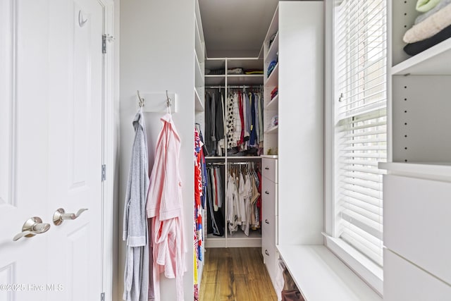 2016 Ashbrook Ct, Leland, NC 28451 - walk in closet featuring wood finished floors