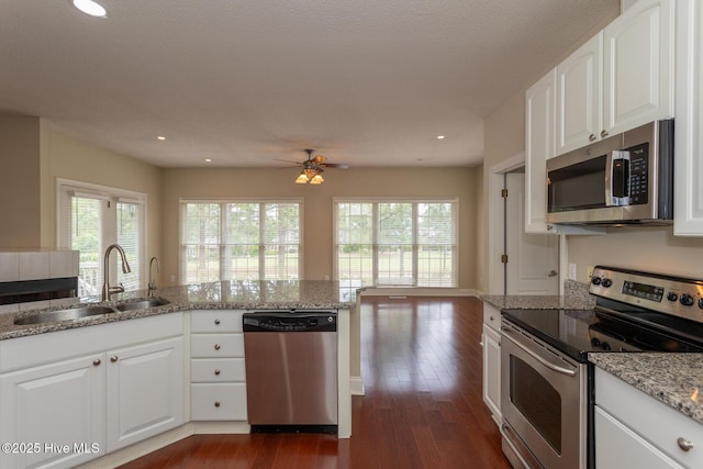 kitchen featuring stainless steel appliances, a sink, healthy amount of natural light, light stone countertops, and recessed lighting