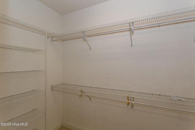 view of walk in closet