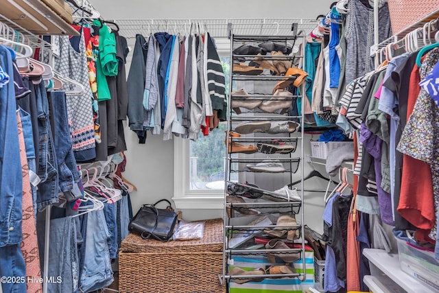 707 Brown Pelican Ln, Hampstead, NC 28443 - view of spacious closet