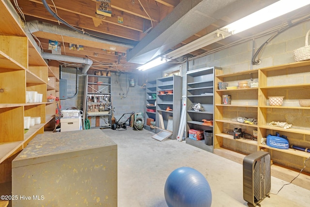 unfinished below grade area with electric panel