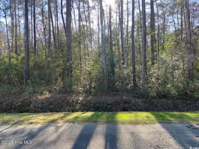 8 Myrtlewood Dr SW, Calabash, NC 28467