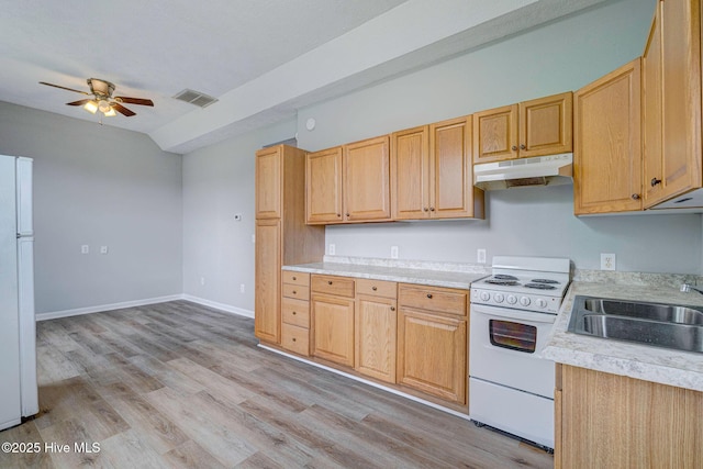 kitchen featuring white appliances, under cabinet range hood, a sink, light countertops, and a ceiling fan