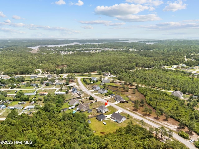 134 Inverness Dr, Hubert, NC 28539 - drone / aerial view of a forest