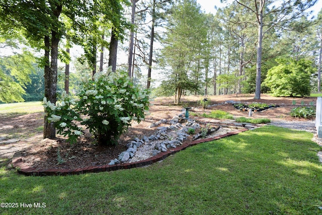 view of green lawn
