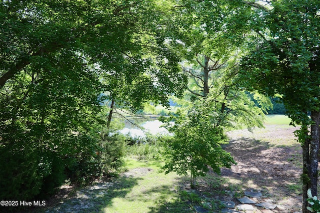 view of local wilderness
