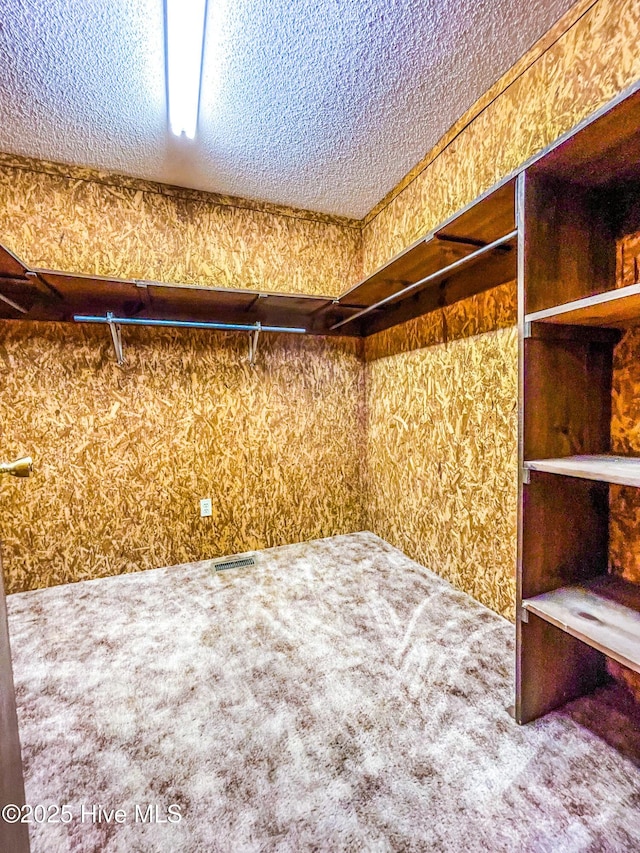 434 Farless Rd, Merry Hill, NC 27957 - walk in closet with carpet flooring