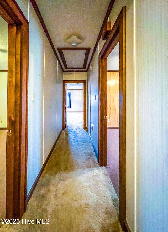 434 Farless Rd, Merry Hill, NC 27957 - hall with attic access, carpet, and baseboards