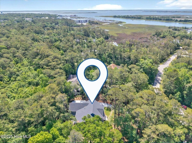 view of property location featuring a nearby body of water and a forest