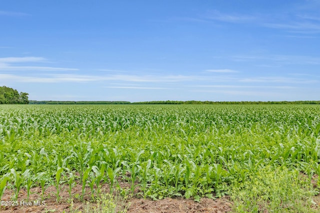 3297 Bay City Rd, Aurora, NC 27806 - view of undeveloped land with farmland and rural landscape