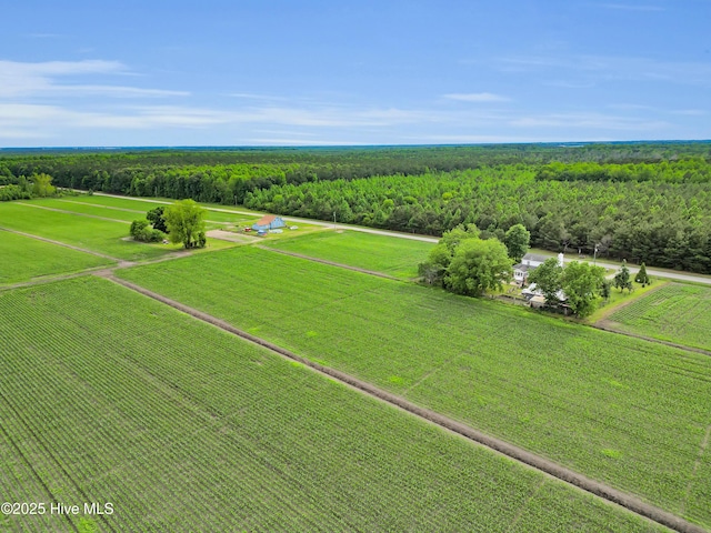 3297 Bay City Rd, Aurora, NC 27806 - overview of rural landscape with a heavily wooded area