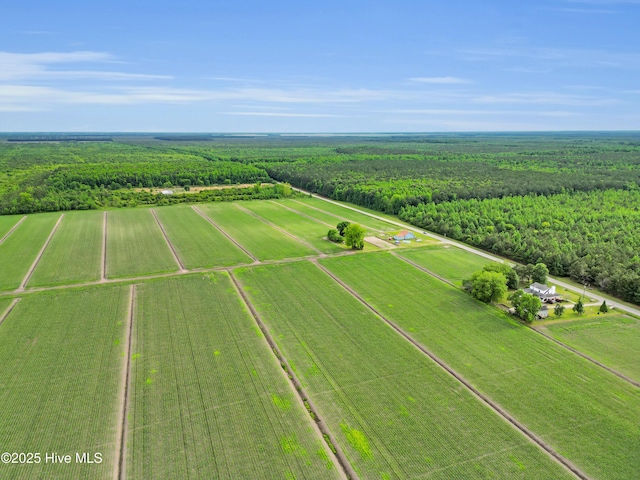 3297 Bay City Rd, Aurora, NC 27806 - view of rural area featuring a heavily wooded area