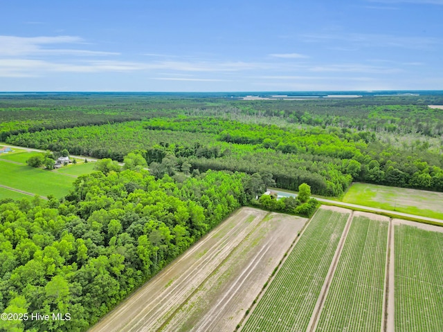 3297 Bay City Rd, Aurora, NC 27806 - aerial view of sparsely populated area featuring a forest