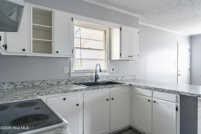 137 Pinecrest Trl, Rockingham, NC 28379 - kitchen with a sink, crown molding, a textured ceiling, under cabinet range hood, and range with electric cooktop