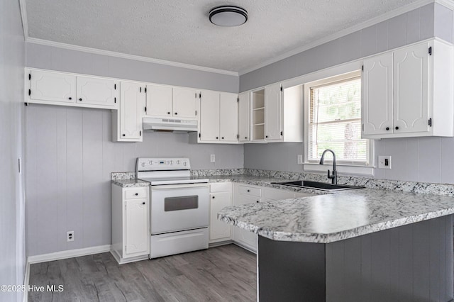 137 Pinecrest Trl, Rockingham, NC 28379 - kitchen featuring white electric stove, under cabinet range hood, a sink, a peninsula, and wood finished floors