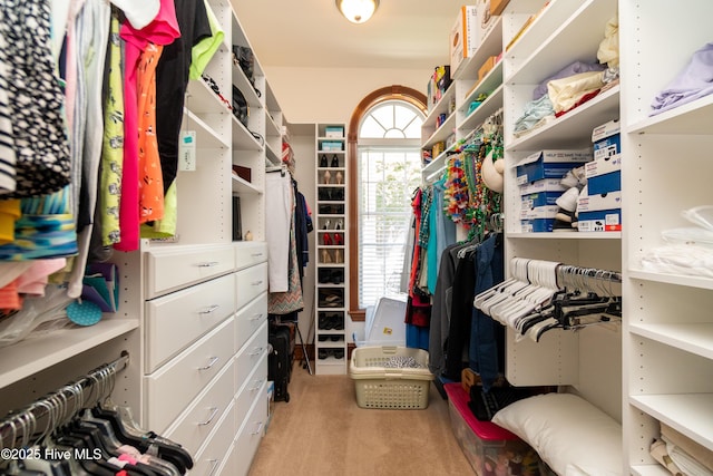 walk in closet with carpet floors