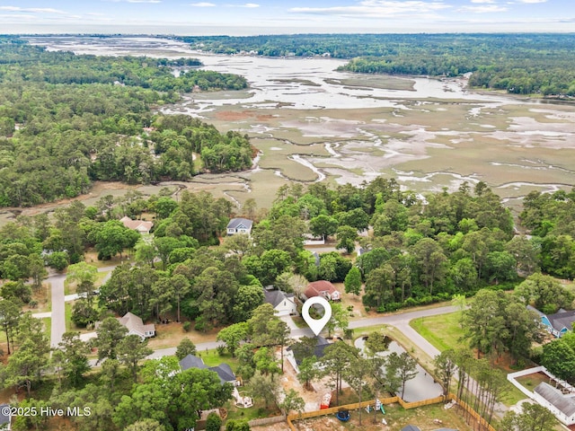 3122 Oak Dr SW, Shallotte, NC 28470 - bird's eye view of a forest and a large body of water