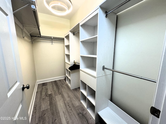4983 Kona Ct Unit 1, Southport, NC 28461 - walk in closet with wood finished floors