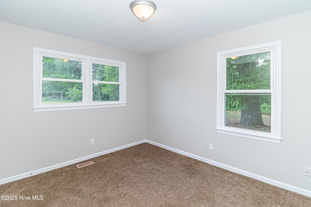 204 Fox Dr, Dudley, NC 28333 - spare room featuring carpet, baseboards, and a textured ceiling