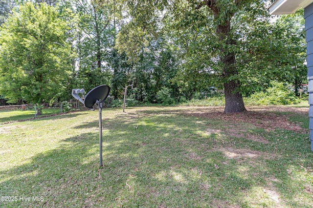 204 Fox Dr, Dudley, NC 28333 - view of yard