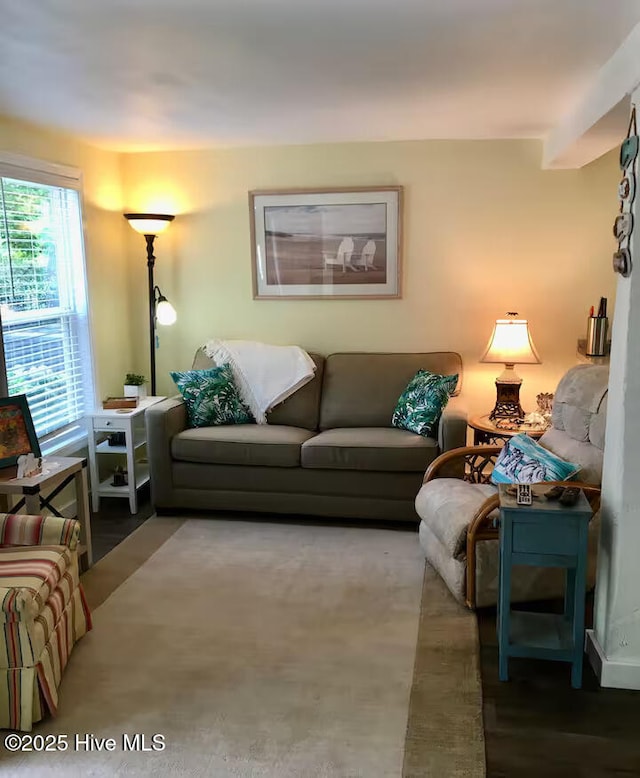 129 NE 36th St, Oak Island, NC 28465 - view of living area