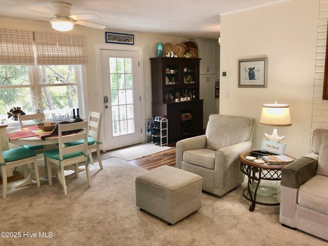 129 NE 36th St, Oak Island, NC 28465 - living room with ceiling fan and carpet