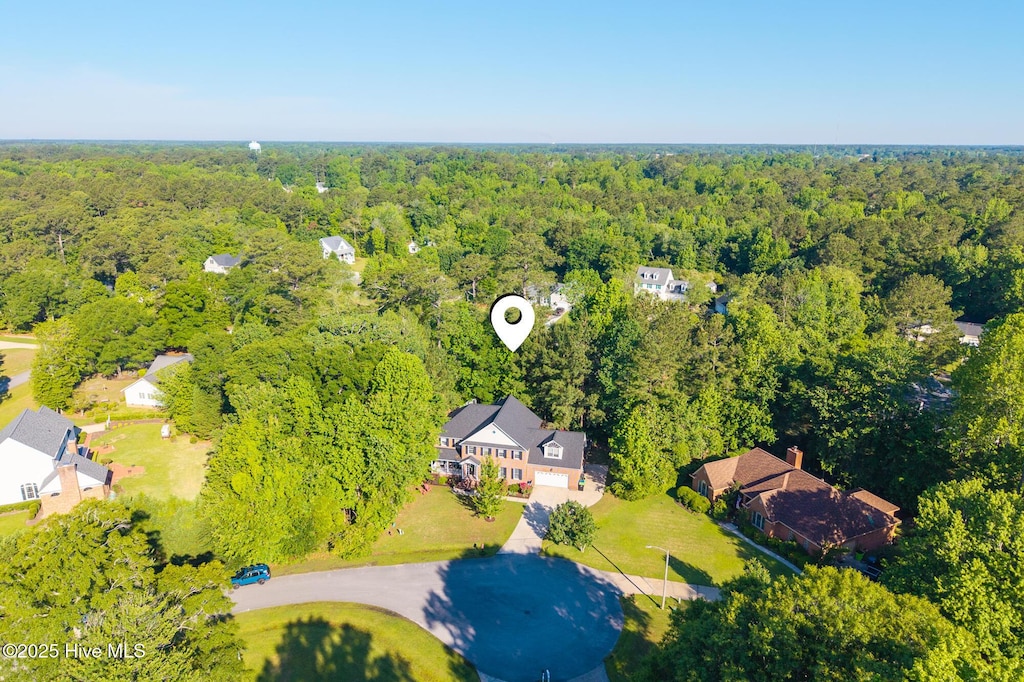 aerial view of a forest
