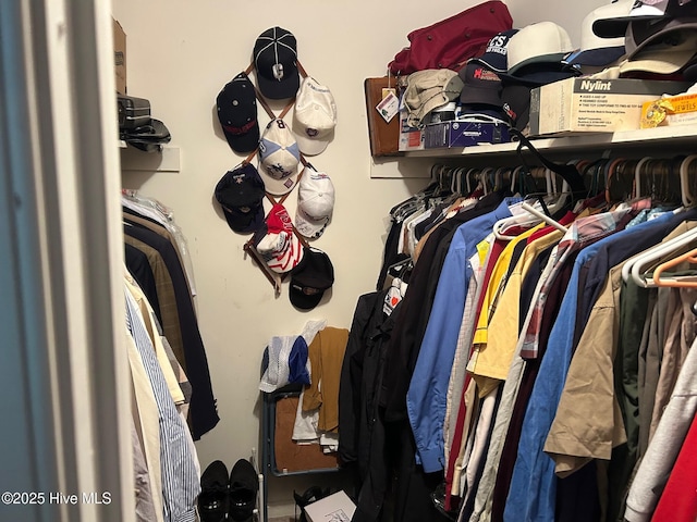 view of walk in closet