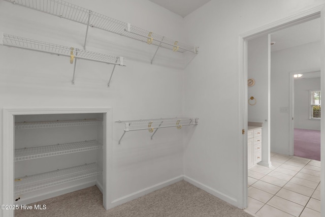 spacious closet featuring light carpet